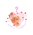 山田家のアイドル（個別スタンプ：24）