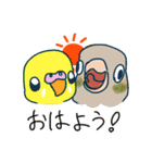 インコさんスタンプ（ウロコ＆セキセイ）（個別スタンプ：1）