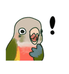 インコさんスタンプ（ウロコ＆セキセイ）（個別スタンプ：7）