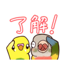 インコさんスタンプ（ウロコ＆セキセイ）（個別スタンプ：11）