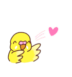 インコさんスタンプ（ウロコ＆セキセイ）（個別スタンプ：16）