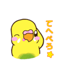 インコさんスタンプ（ウロコ＆セキセイ）（個別スタンプ：24）