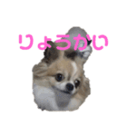 きりぼん（個別スタンプ：2）