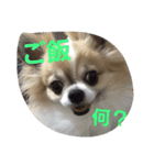 きりぼん（個別スタンプ：8）