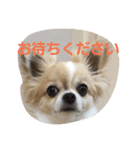 きりぼん（個別スタンプ：14）