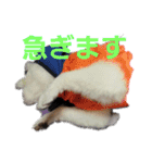 よんよん仲間たち（個別スタンプ：6）