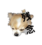 よんよん仲間たち（個別スタンプ：18）