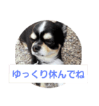 よんよん仲間たち（個別スタンプ：22）