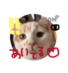 細目のちょろんスタンプ（個別スタンプ：8）