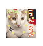 細目のちょろんスタンプ（個別スタンプ：15）