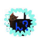 細目のちょろんスタンプ（個別スタンプ：16）