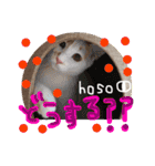細目のちょろんスタンプ（個別スタンプ：18）