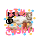 細目のちょろんスタンプ（個別スタンプ：19）