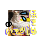 細目のちょろんスタンプ（個別スタンプ：21）