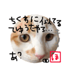 細目のちょろんスタンプ（個別スタンプ：24）