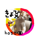 細目のちょろんスタンプ（個別スタンプ：25）
