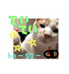 細目のちょろんスタンプ（個別スタンプ：32）