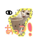 細目のちょろんスタンプ（個別スタンプ：33）