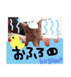 細目のちょろんスタンプ（個別スタンプ：35）