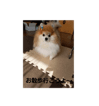 erika10（個別スタンプ：3）
