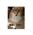 erika10（個別スタンプ：8）