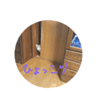 ころまる2(猫)（個別スタンプ：23）
