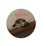 fumiのスタンプ（個別スタンプ：7）