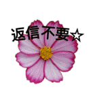 花の気持ち。（個別スタンプ：8）