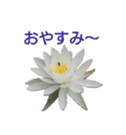 花の気持ち。（個別スタンプ：19）