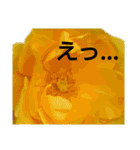 花の気持ち。（個別スタンプ：23）