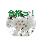 花の気持ち。（個別スタンプ：27）