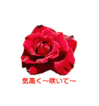 花の気持ち。（個別スタンプ：28）