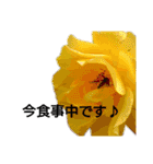 花の気持ち。（個別スタンプ：29）