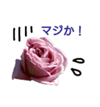 花の気持ち。（個別スタンプ：33）