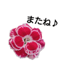 花の気持ち。（個別スタンプ：34）