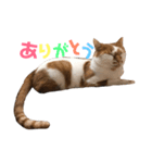 みんくとみかん2（個別スタンプ：1）