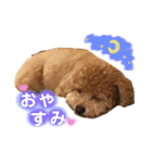 まろん♡ころん（個別スタンプ：2）