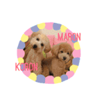 まろん♡ころん（個別スタンプ：4）