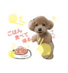 まろん♡ころん（個別スタンプ：9）