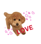 まろん♡ころん（個別スタンプ：12）