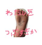 わいのスタンプや（個別スタンプ：1）