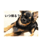 使える日常の会話（個別スタンプ：8）