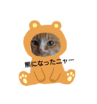 nyachan likes seaweed（個別スタンプ：6）