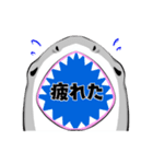 使いやすい言葉 大口サメくん 冬バージョン（個別スタンプ：8）
