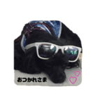 シェラ（個別スタンプ：6）