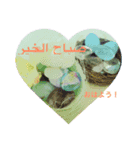 Arabic and Japanese stickers（個別スタンプ：6）