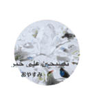 Arabic and Japanese stickers（個別スタンプ：7）