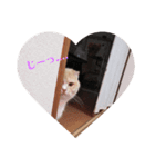にゃんこのゆるゆる日常（個別スタンプ：3）