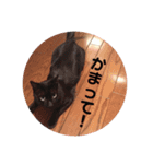 にゃんこのゆるゆる日常（個別スタンプ：5）