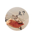 にゃんこのゆるゆる日常（個別スタンプ：9）